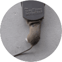 Google Review by Ho Tak Yu